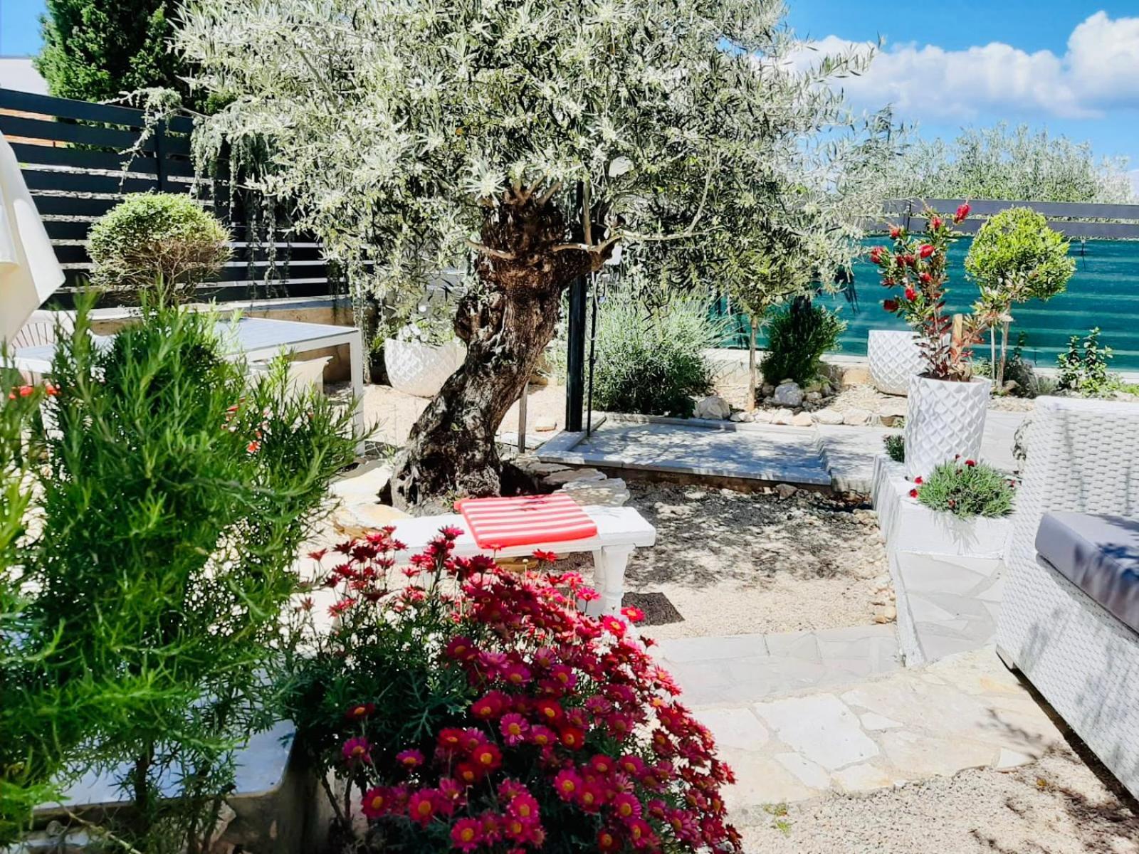 Villa Evamar, Island Krk 普纳特 外观 照片